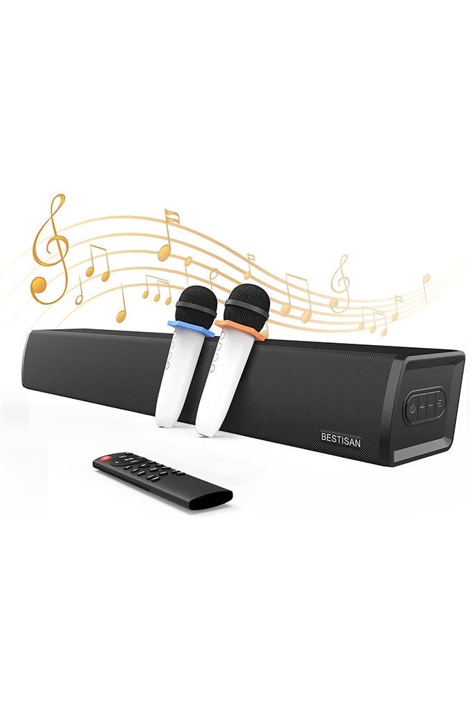 Soundbar for TV with Karaoke Microphones (SK01)